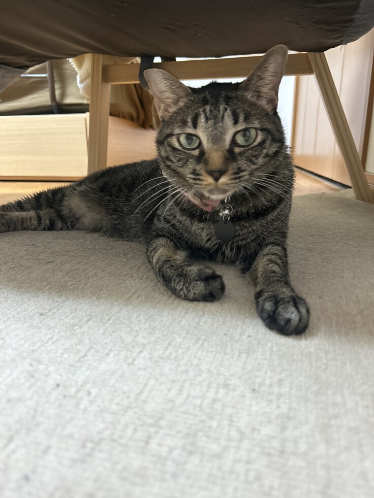 Image_250816_202411 (1).jpeg