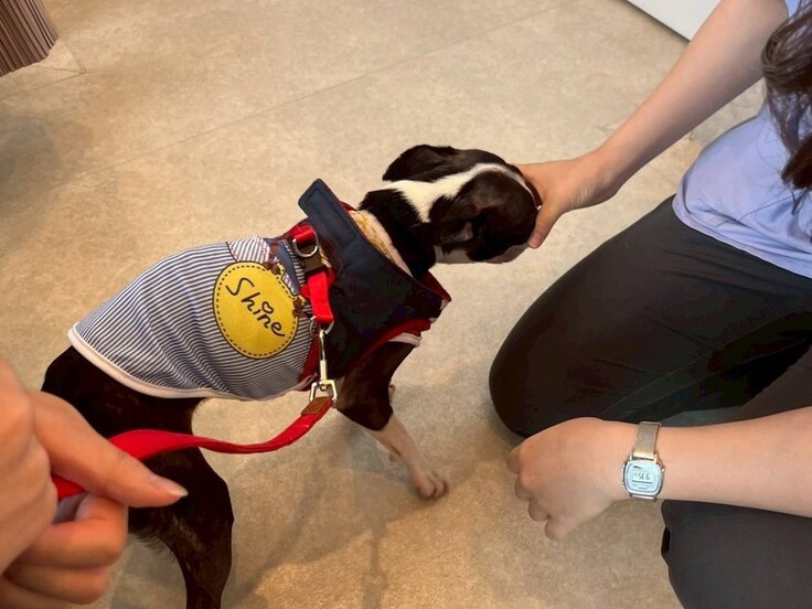 85111 - コピー.jpg