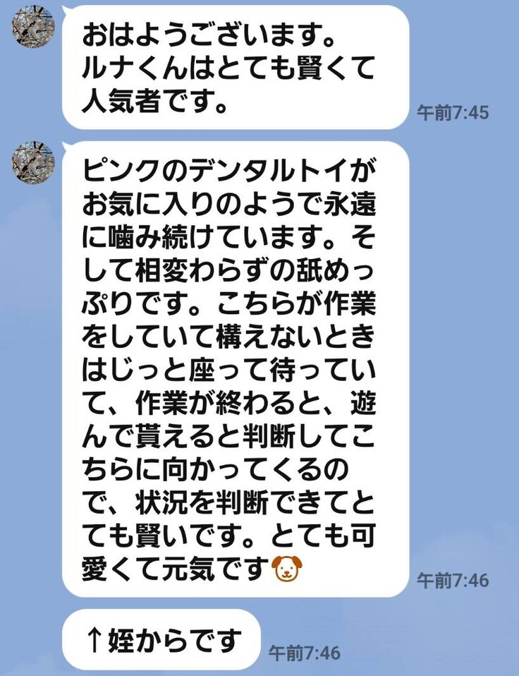 85122 - コピー.jpg