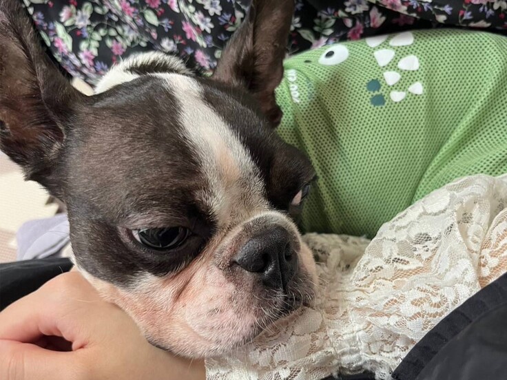 85114 - コピー.jpg