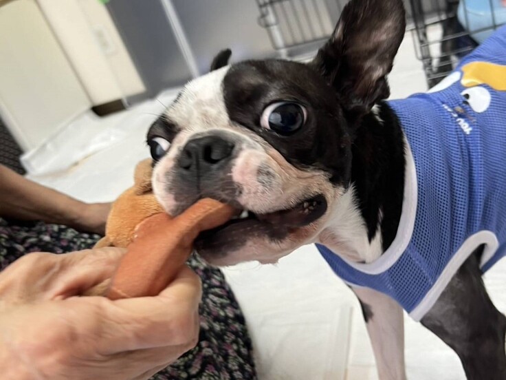 85095_0 - コピー.jpg