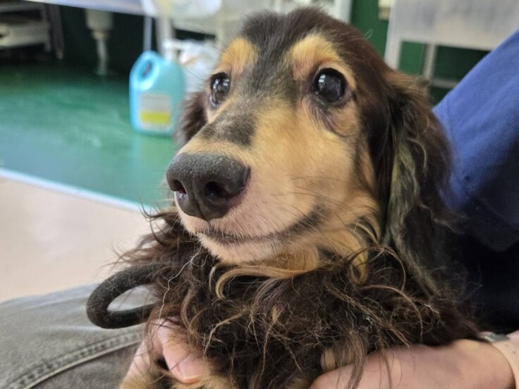 85178_0 - コピー.jpg