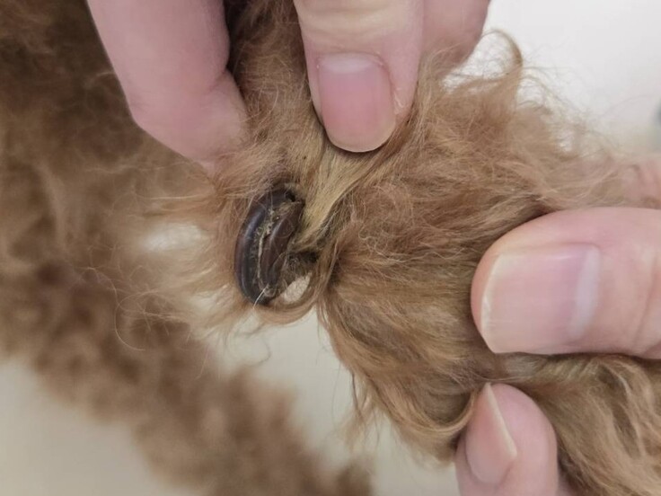 85172_0 - コピー.jpg