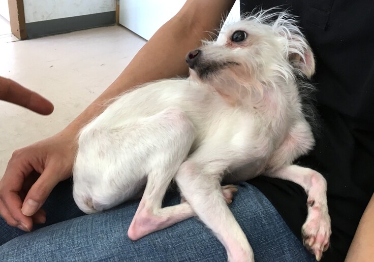 IMG_8666 - コピー.JPG