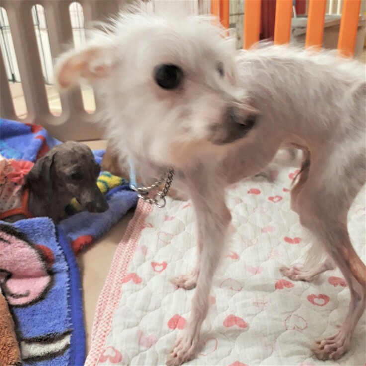 20180815_175702 (2).jpg