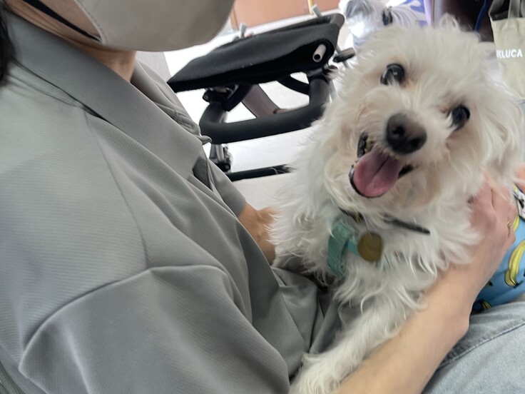 IMG_1190 - コピー.JPG