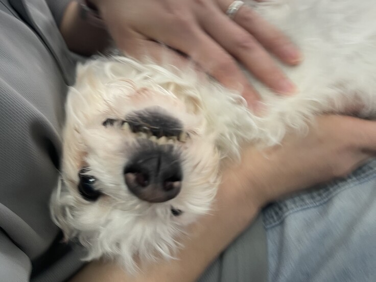 IMG_1192 - コピー.JPG