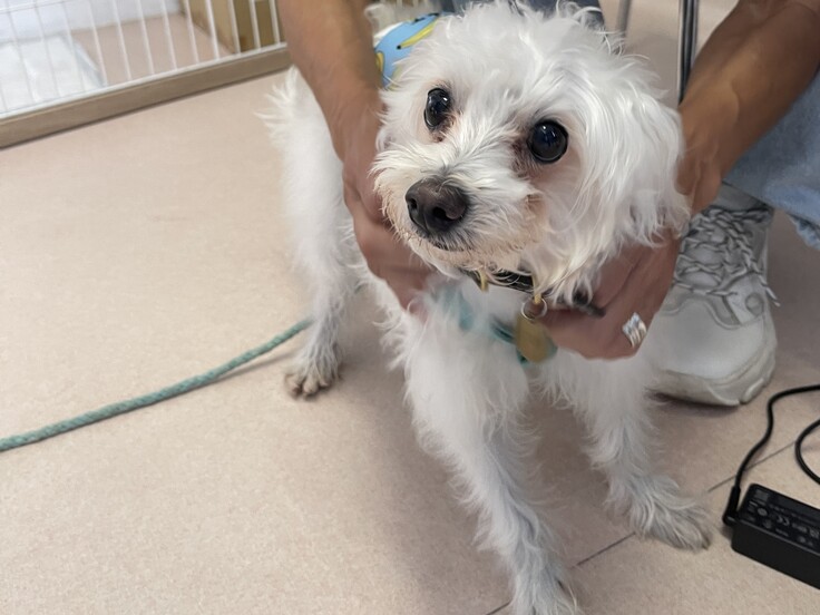 IMG_1143 - コピー.JPG