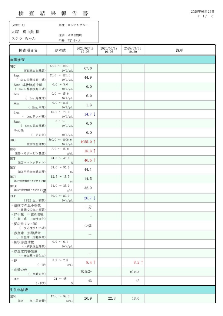 診断書72125-1大塚真由美_ステラBW20250825_ページ_1.jpg