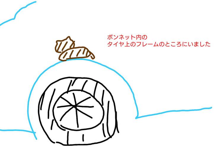 ざっくり説明図