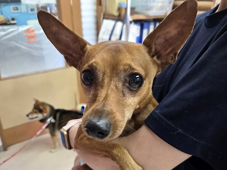 537143464_1455025292511115_4819148945755687775_n - コピー.jpg