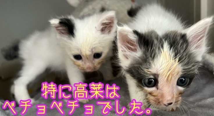 ご飯を食べた後は全身ベチョベチョ