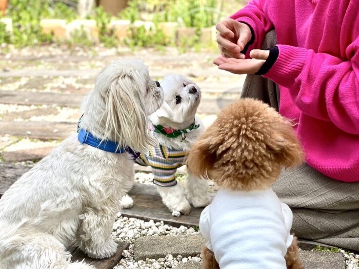 85751 - コピー.jpg