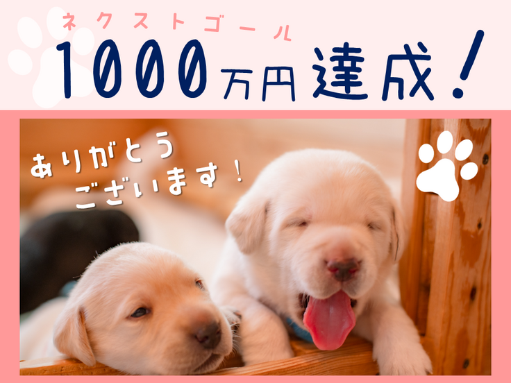 イエローラブの子犬２頭の写真に「ネクストゴール１０００万円達成ありがとうございます」の文字がデザインされている。