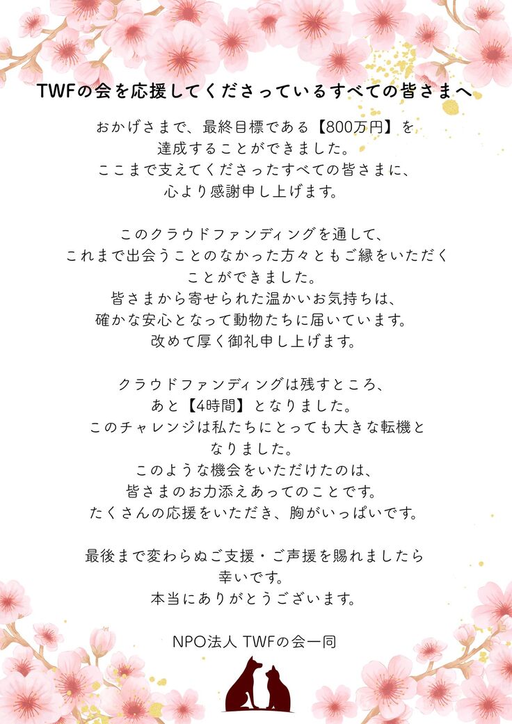 ピンク 水彩 桜 便箋 手紙 A4(縦).jpg