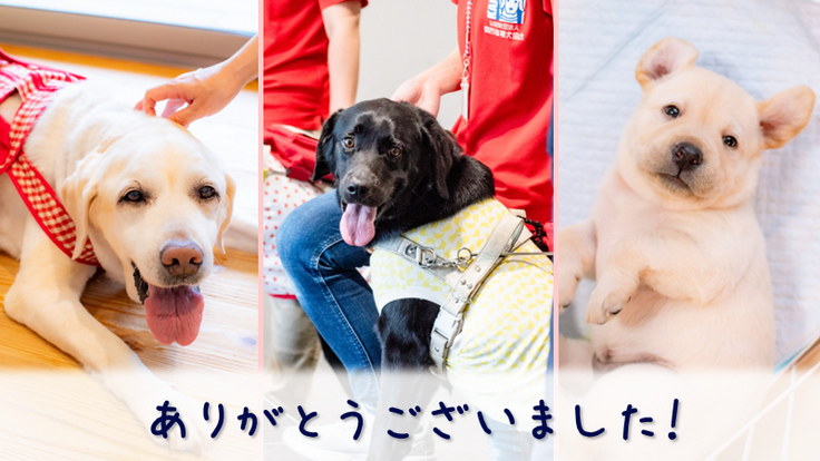 子犬、訓練犬、リタイア犬の写真が組み合わされた画像に「ありがとうございました！」の文字がデザインされている。