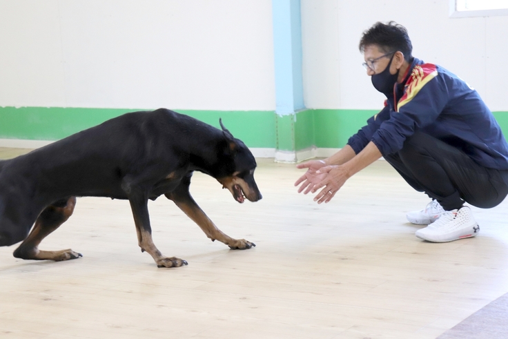 IMG_6268 - コピー.JPG