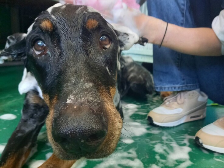 20220608_122853 - コピー.jpg