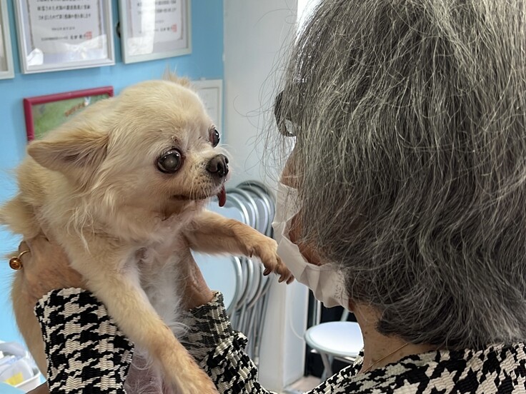 IMG_2327 - コピー.jpg