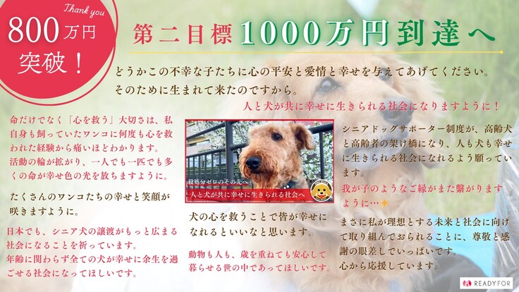 800万円突破.jpg