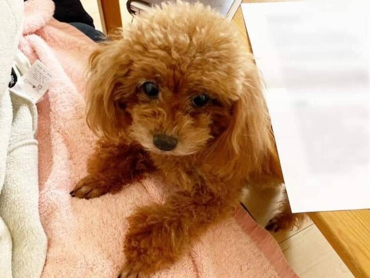 IMG_7167 - コピー.JPG