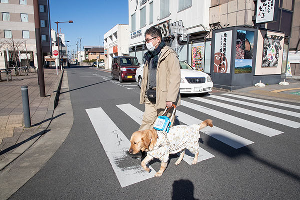 盲導犬と横断歩道を渡る松井氏