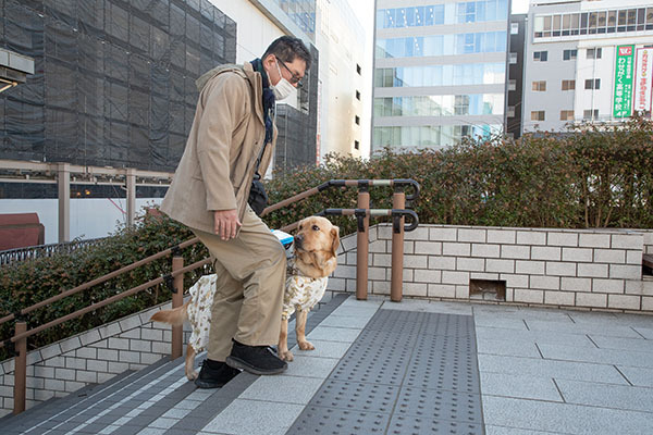 盲導犬と階段を上がる松井氏