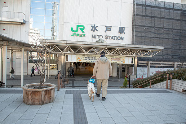 水戸駅前を歩く盲導犬と松井氏