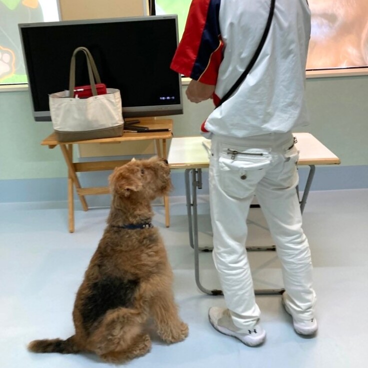 1654944802744 - コピー.jpg