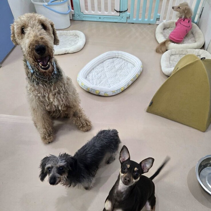 87860 - コピー.jpg