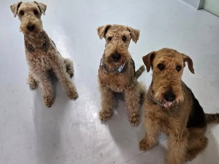 トリオ - コピー.jpg