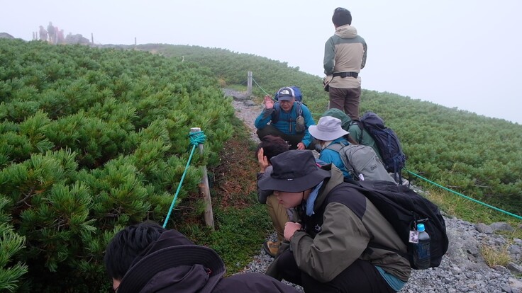 ライチョウの餌である高山植物についても教えてもらいました