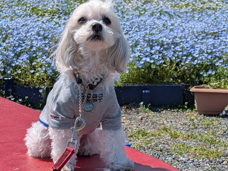 88975 - コピー.jpg