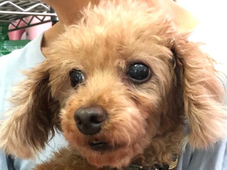 IMG_6471 2019-10-02 18_56_36 - コピー - コピー.JPG