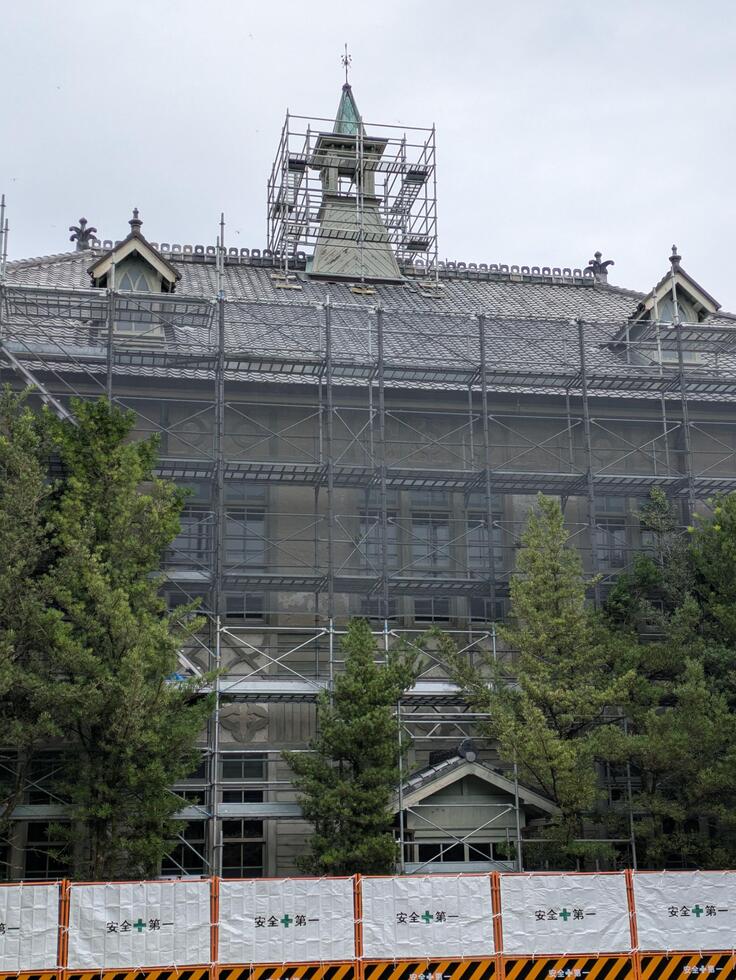 shared image (7).jpeg