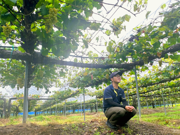 橋本悠汰醸造長