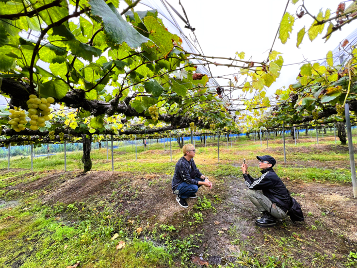 ミレイヒロキ氏