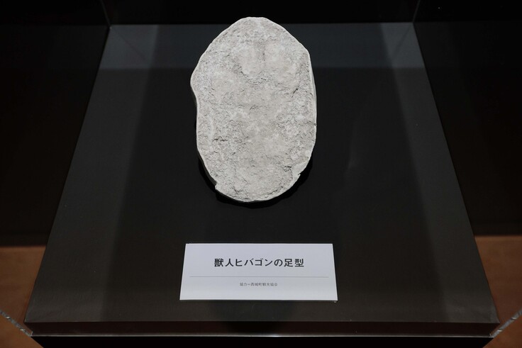 ヒバゴンの足跡石膏型