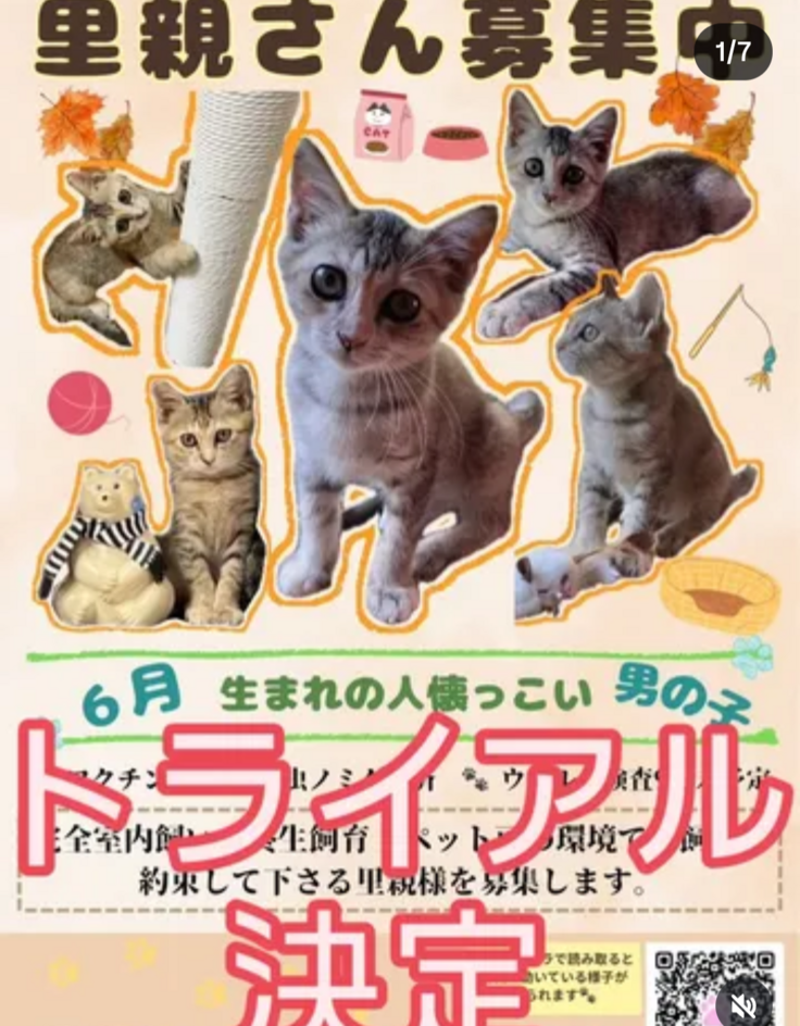 個人保護された方譲渡会に参加