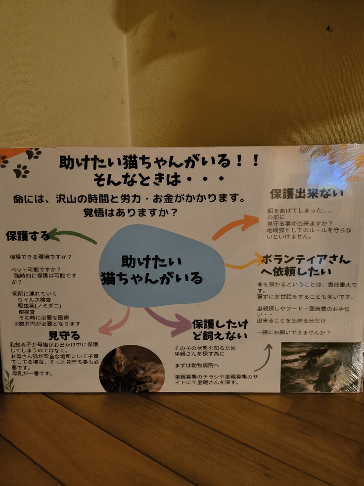 啓発のパネルを準備