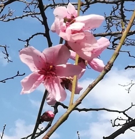 59d2dba7-ec0b-4d9a-9028-e83707c87bb4 - Akiko Izumi.jpeg