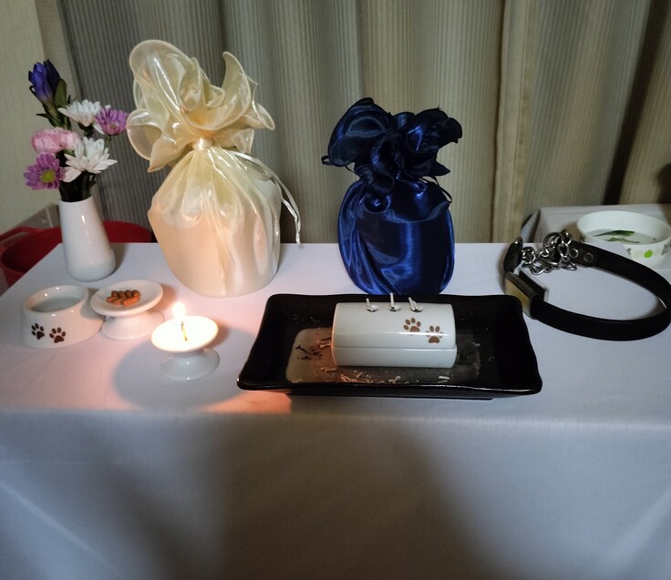 小さくなったディランくん