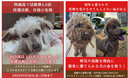 Google広告イメージ