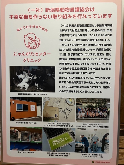 パネルとリーフレットを作成しました