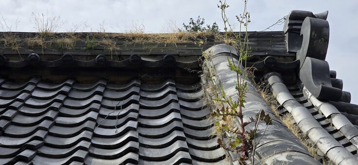 一畑薬師_観音堂_屋根 (16).jpg