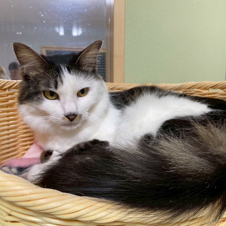 ホテイ　男の子