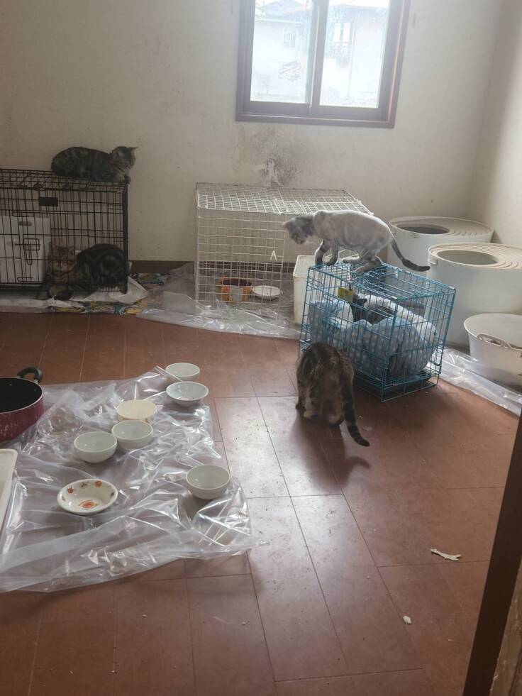 不適切飼育の現場