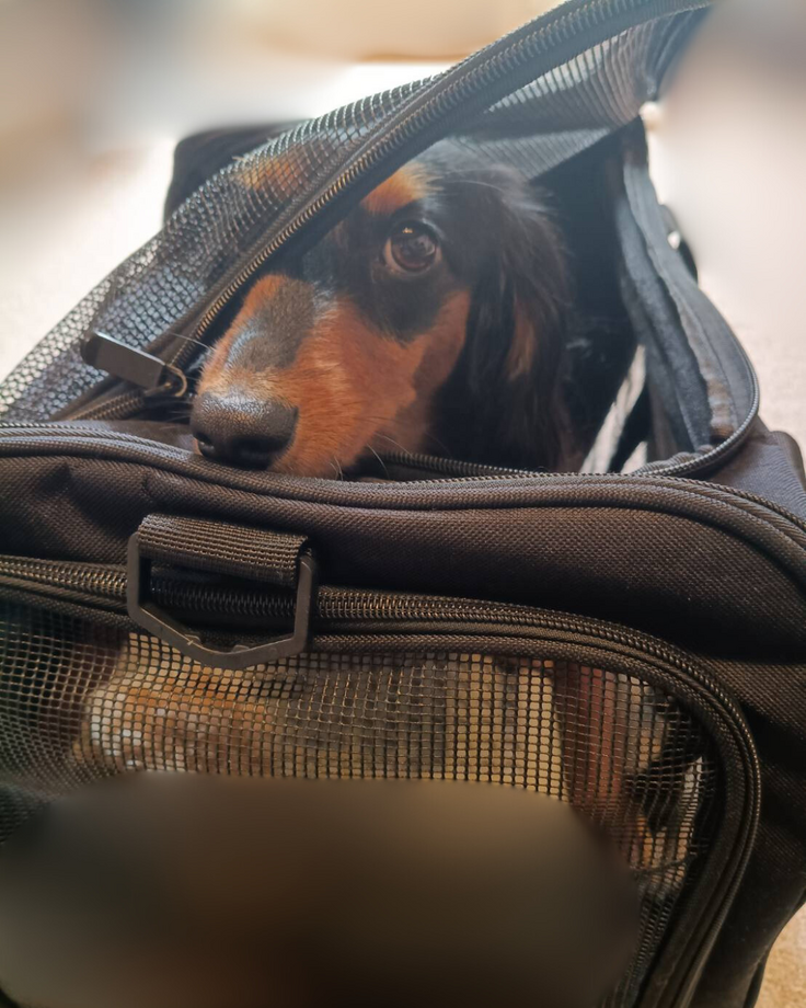 名称未設定のデザイン (2).png