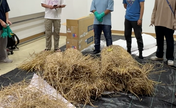 昨年のバンコク発注分