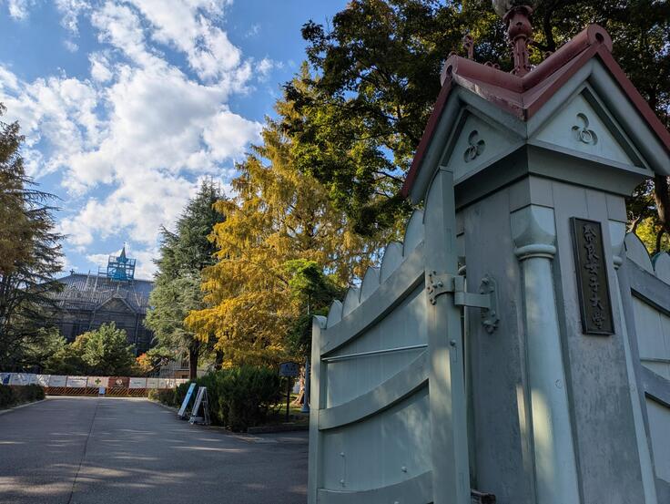 shared image (16).jpeg